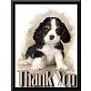 Click image for larger version

Name:	thank-you spaniel.jpg
Views:	33
Size:	32.1 KB
ID:	495259