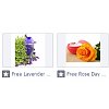 Click image for larger version

Name:	EvergreenFarm.jpg
Views:	4
Size:	18.4 KB
ID:	1661954