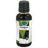 Click image for larger version

Name:	eucalyptus.jpg
Views:	5
Size:	39.2 KB
ID:	1762624