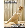 Click image for larger version

Name:	cat dancing 2.jpg
Views:	9
Size:	25.0 KB
ID:	1344108