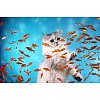 Click image for larger version

Name:	aquarium month.jpg
Views:	4
Size:	35.9 KB
ID:	1345734