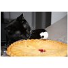 Click image for larger version

Name:	cat with pie.jpg
Views:	4
Size:	52.5 KB
ID:	1586150