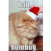 Click image for larger version

Name:	bah cat.jpg
Views:	2
Size:	33.7 KB
ID:	1666524