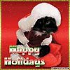 Click image for larger version

Name:	cat at Xmas.jpg
Views:	1
Size:	5.5 KB
ID:	1671510