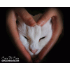 Click image for larger version

Name:	cat-heart.gif
Views:	2
Size:	89.6 KB
ID:	1786078