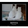 Click image for larger version

Name:	cat flirting.jpg
Views:	3
Size:	20.4 KB
ID:	1800674