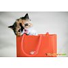 Click image for larger version

Name:	cat-bag-photo.jpg
Views:	20
Size:	20.5 KB
ID:	1240618