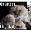 Click image for larger version

Name:	funny-pictures-cat-brushes-teeth.jpg
Views:	28
Size:	30.8 KB
ID:	476431