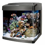 Petco B&amp;M: Oceanic Biocube 14gallon clearance for $120 YMMV
