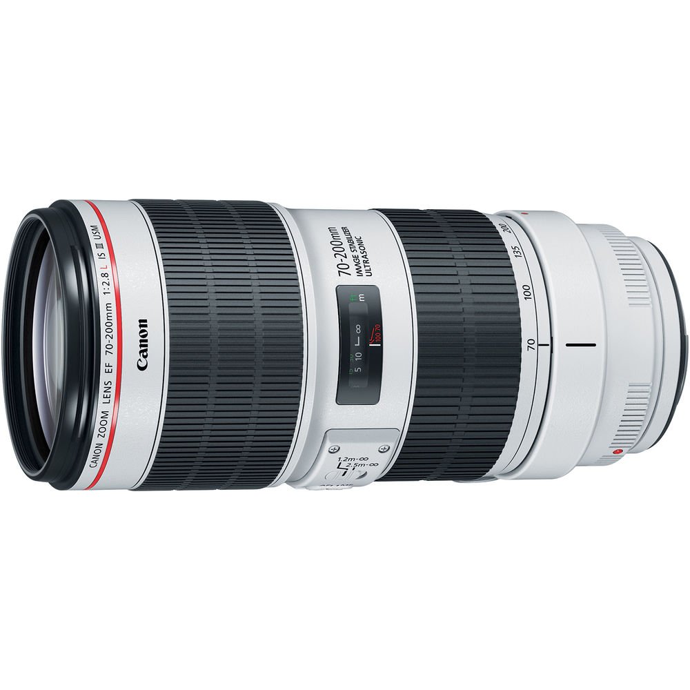 Canon EF 70-200mm f/2.8L IS III USM Lens (New, Not Refurbished) 20% Off Canon Discount $1,679, YMMV $1561