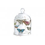 Mariposa Glass Dome $22.00 + $6.95 Shipping @onekingslane.com