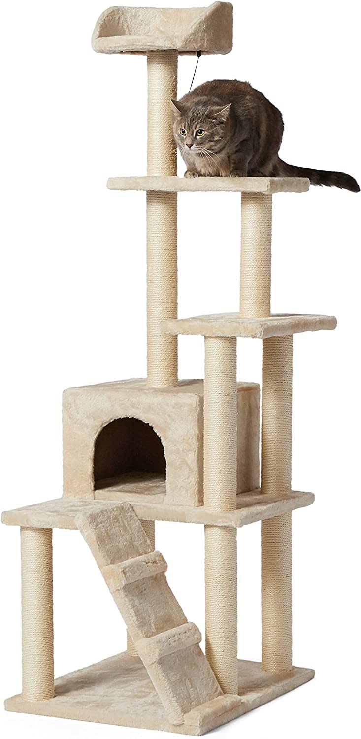 61" Amazon Basics Multi-Level Cat Tree w/ Scratching Posts (X-Large, Beige) $43.79 & More + Free S&H ~ Amazon