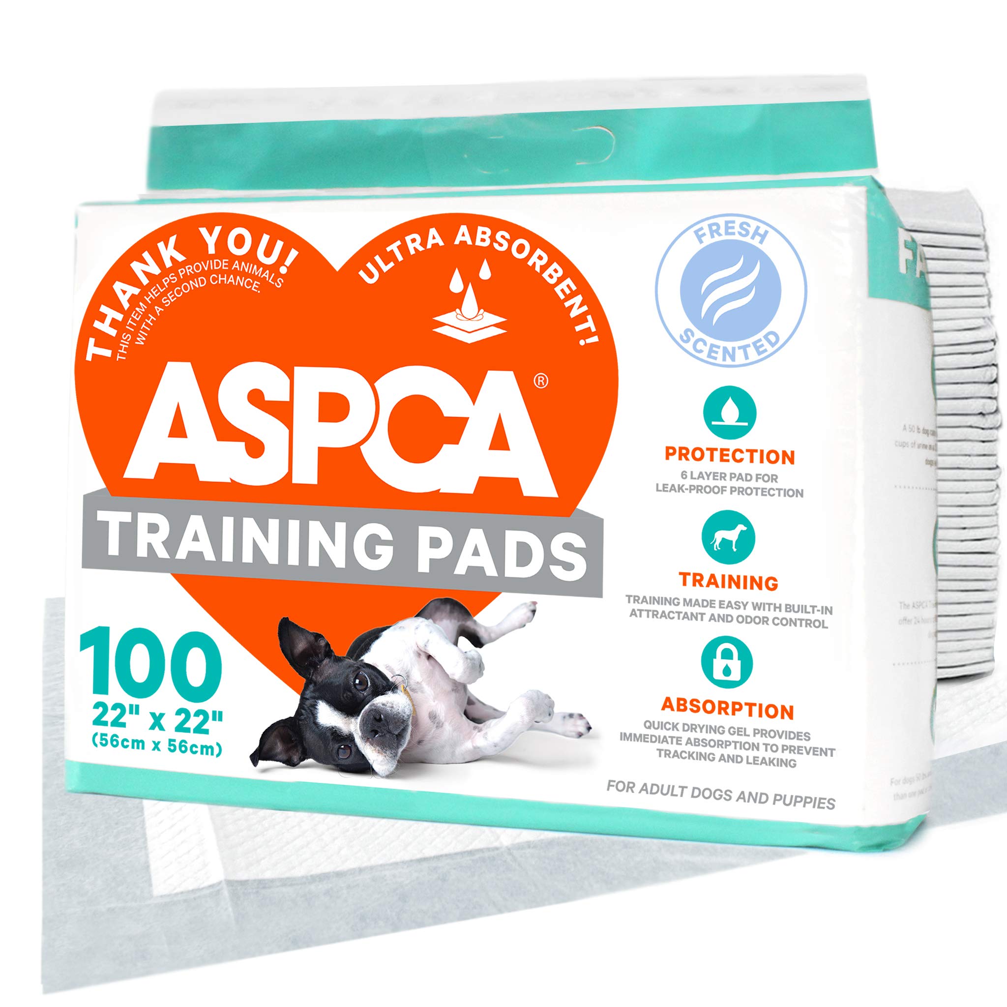 Aspca dog deals training