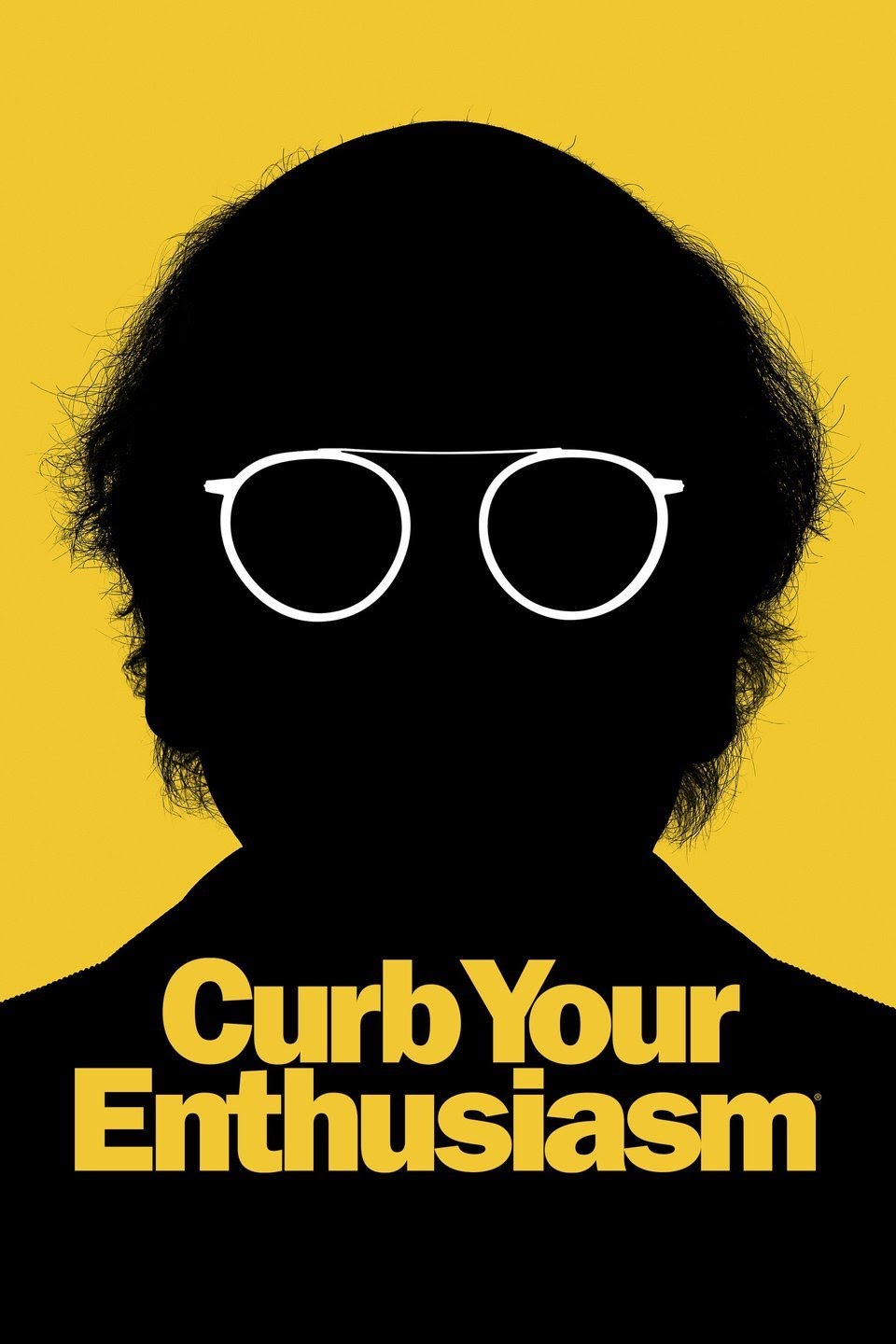 Curb Your Enthusiasm Seasons 1-10 - $29.99