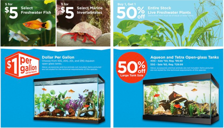 petco aquarium sale 1 per gallon