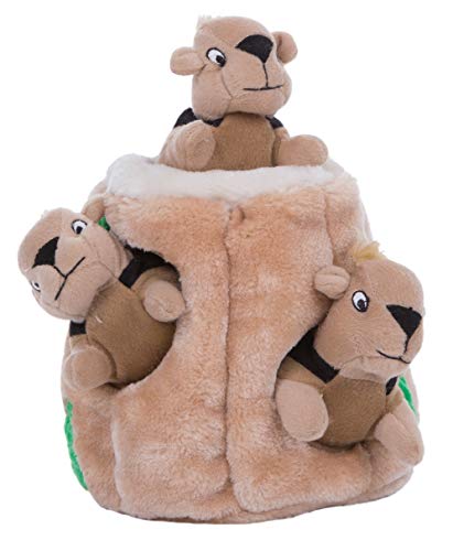 Outward Hound Hide A Squirrel Plush Dog Toy Puzzle, Small $5.1