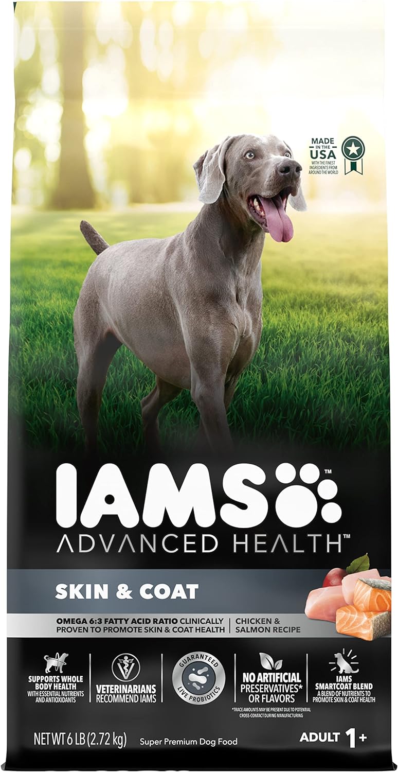 Select Amazon Accounts (YMMV): 6-lbs IAMS Advanced Health Skin & Coat Adult Dry Dog Food (Chicken & Salmon) $4.05 & More w/ S&S + Free Shipping w/ Prime or on $35+