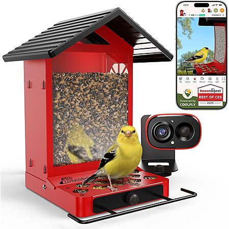 50% Off RichBird Bird Feeder with Camera!