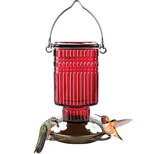 22-Oz Nature's Way Hanging Glass Hummingbird Nectar Feeder (Red) 