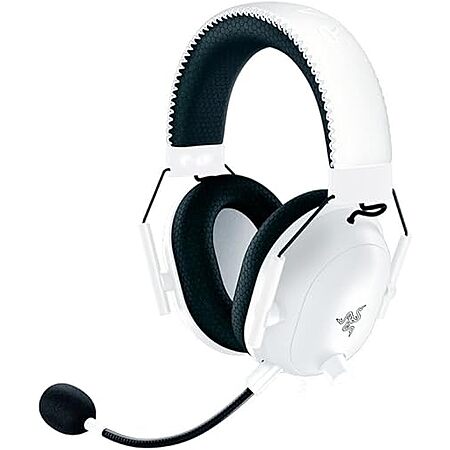 Razer Headset for $17!