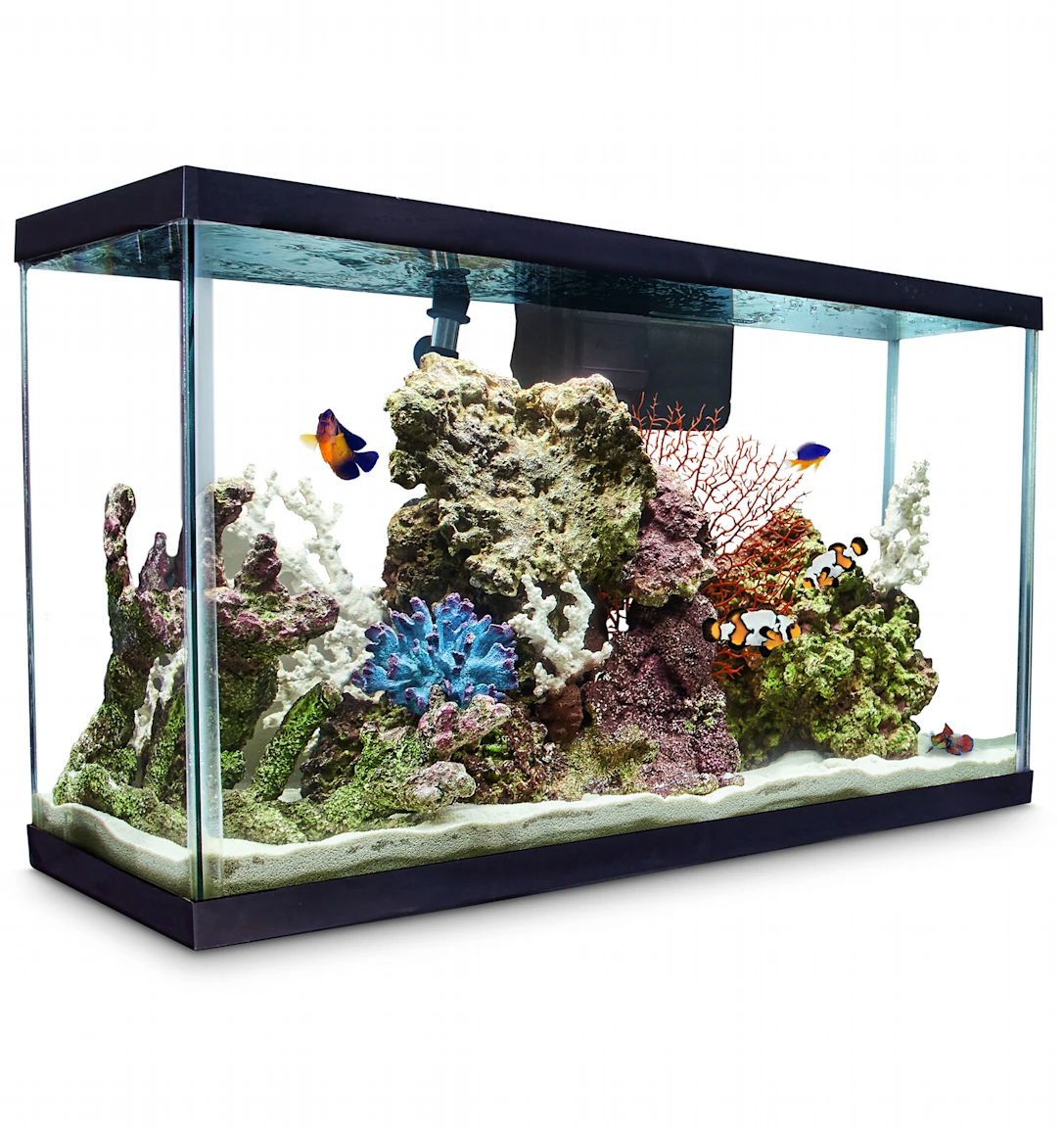 Aqueon Standard Glass Aquarium Tank 29 Gallon $31.49