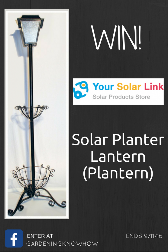 Your Solar Link Solar Planter (Plantern) Giveaway - Ends 9/11/16 - One winner - US 18+ - Facebook required