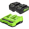 $95.99: Greenworks 24V Starter Kit: 2 x 4.0Ah USB Battery + Dual Port Rapid Charger at Amazon