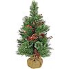 $19.99: 24&Prime; National Tree Company Glistening Pine Small Tree with Pine Cones, Red Berries, and Twigs in a Burlap Base at Amazon
