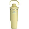 $14 | Stanley IceFlow 2.0 Fast Flow Tumbler with Handle (30 oz, Pomelo) on Amazon