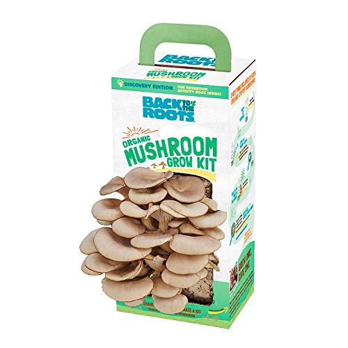 Back to the Roots Organic Oyster Mushroom Grow Kit, Harvest Gourmet Mushrooms In 10 Days - $16.01 or $15.21 /w S&S - Amazon
