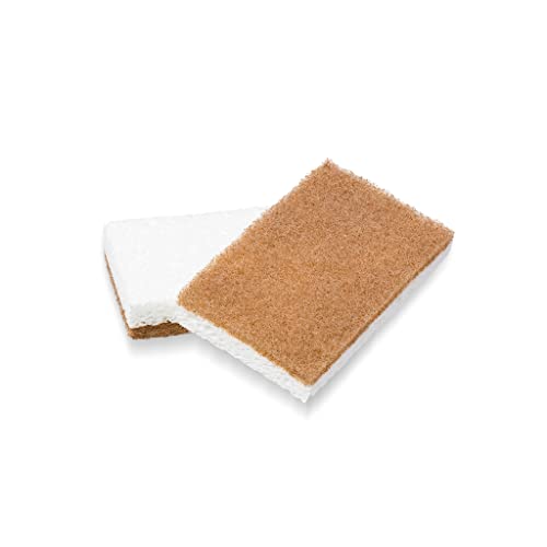 Full Circle In A Nut Shell Walnut Scrubber Sponges, Non-Scratch, Set of 2, 2 oz - $2.04 /w S&S - Amazon