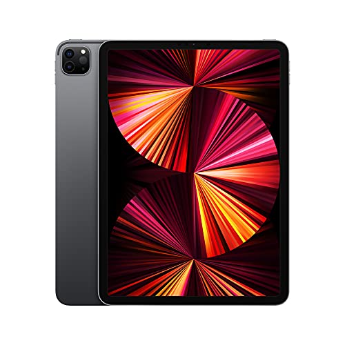 2021 Apple 11-inch iPad Pro (Wi-Fi, 1TB) - Space Gray - $1099.99 + F/S - Amazon
