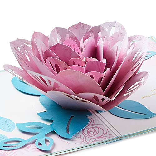 Hallmark Signature Paper Wonder Pop Up Birthday Card (Pink Rose) - $7.40 - Amazon