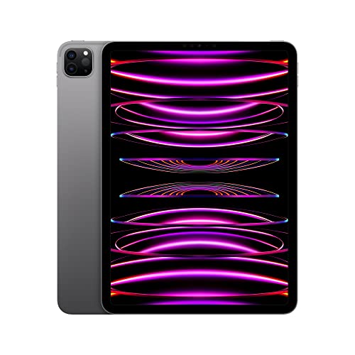 Apple 2022 11-inch iPad Pro (Wi-Fi, 1TB) - Space Gray (4th Generation) - $1299.00 + F/S - Amazon
