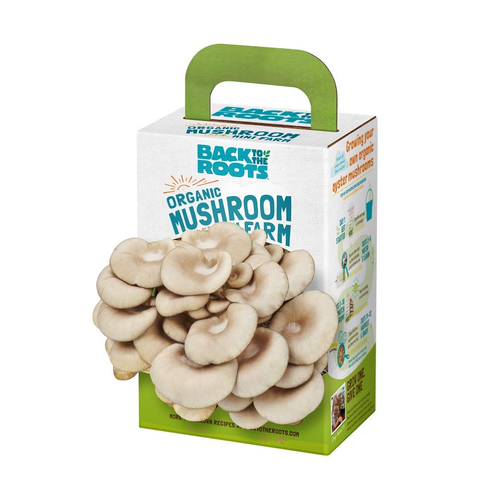 $7.79: Back to the Roots Organic Mini Oyster Mushroom Grow Kit