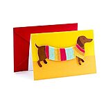 $2.46: Hallmark Signature Birthday Card with Removable Dachshund Magnet (Dog in Sweater)