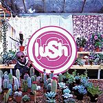 $17.41: Lush: Lovelife (Vinyl)