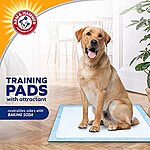 $27.98 w/ S&amp;S: Arm &amp; Hammer for Dogs Training Pads for Stay-at-Home Dogs, 200 Count at Amazon