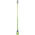 [AC] $36.40*: 3 × Jolly Pets Tree Tugger For Dog (Green) ($12.13 each) at Amazon