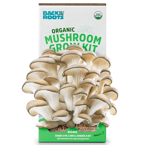 $13 w/ S&S: Back To The Roots Organic Mushroom Farm