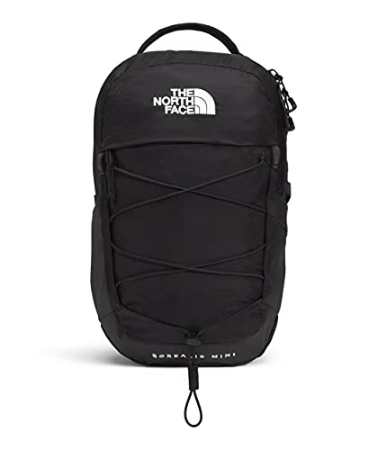 $35: The North Face 10L Mini Borealis Laptop Backpack at Amazon