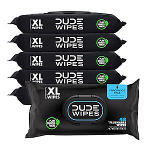 [S&S] $14.59: 6-Pack 48-Count DUDE Wipes Flushable Wipes (Fragrance Free) at Amazon