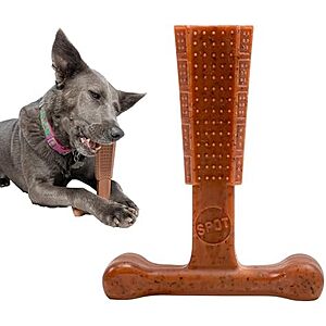 6" SPOT Bam-Bones Plus T-Bone Dog Chew Toy (Beef)
