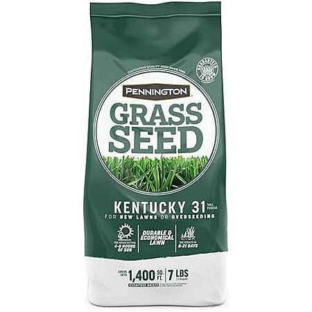 81% Off Grass Seed - $3 Only!