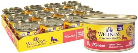 [S&S, AC] $22.93: 24-Pack 3-Oz Wellness Complete Health Minced Adult Wet Cat Food (Salmon Entrée) at Amazon (95.5￠ each)