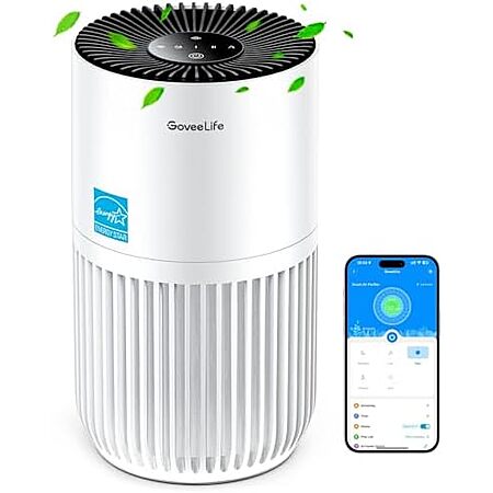 $28.27*: GoveeLife HEPA Smart Mini Air Purifier at Amazon