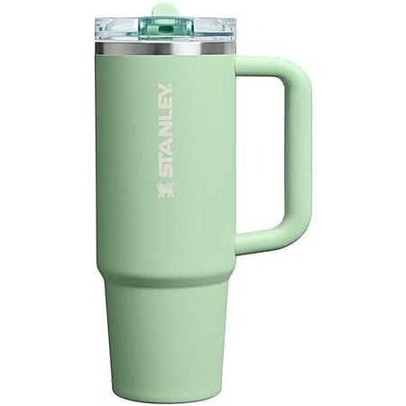 $20* | 30-Oz STANLEY Quencher ProTour Flip Straw Tumbler with Leakproof Lid (Pistachio) at Amazon