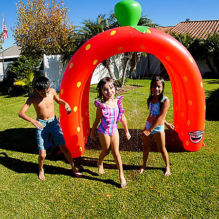 Sams Club BigMouth Inflatable 6ft Tunnel Yard Sprinkler (Assorted Styles) $19.91 Free ship for Sam's Club Plus members