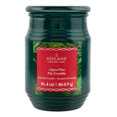 Michael's Arts Crafts Store Assorted winter scent Ashland glass jar candles (almost 17oz) CLEARANCE $2.09 ea