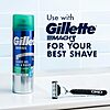 Gillette Series 3X Action Shave Gel, Sensitive Twin Pack, 7 Oz (Pack of 2 x 2 = 4 canisters) $9.70 S&amp;amp;S &amp;amp; Promo Shipped at Amazon